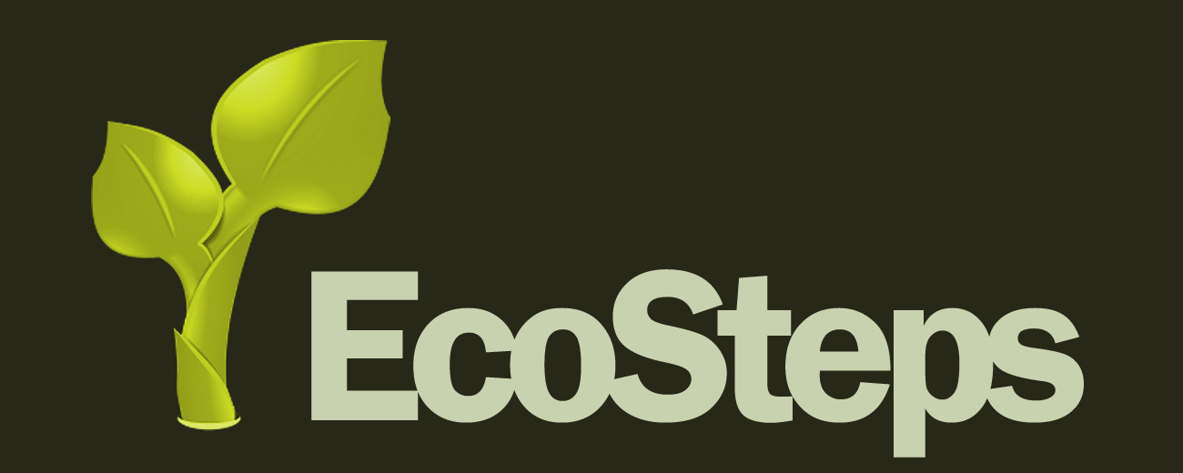 EcoSteps